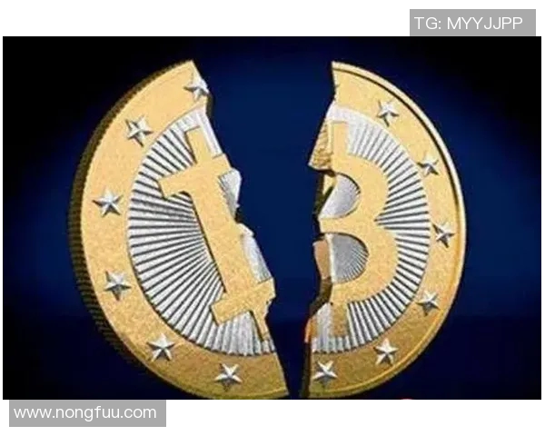 以掘金为核心探索数字货币新机遇与创新模式的未来发展趋势