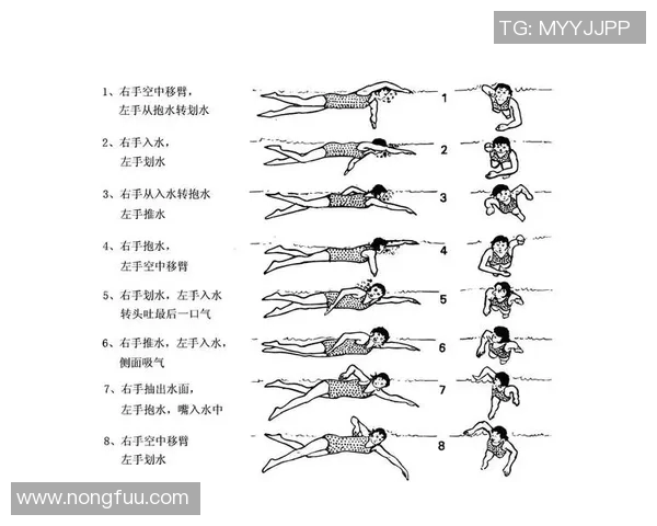 自由泳呼吸技巧全解析提高游泳效率与耐力的关键因素